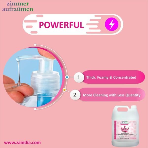 Hand Wash with CHG Disinfectant-5L (Alps Rose) | 99.9% Germ-Killing - Image 3