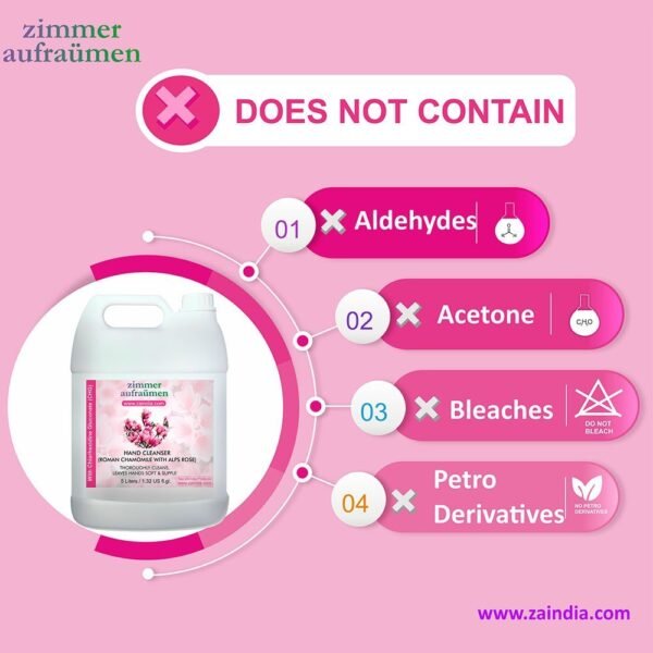 Hand Wash with CHG Disinfectant-5L (Alps Rose) | 99.9% Germ-Killing - Image 6
