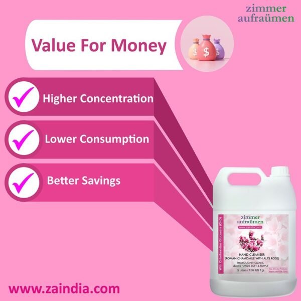 Hand Wash with CHG Disinfectant-5L (Alps Rose) | 99.9% Germ-Killing - Image 7