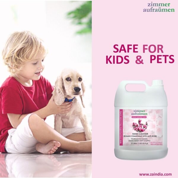 Hand Wash with CHG Disinfectant-5L (Alps Rose) | 99.9% Germ-Killing - Image 8